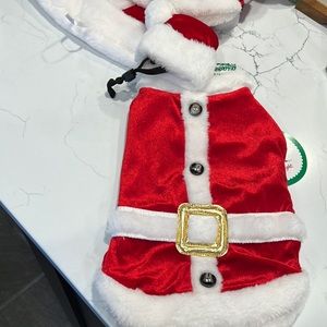Santa costume
